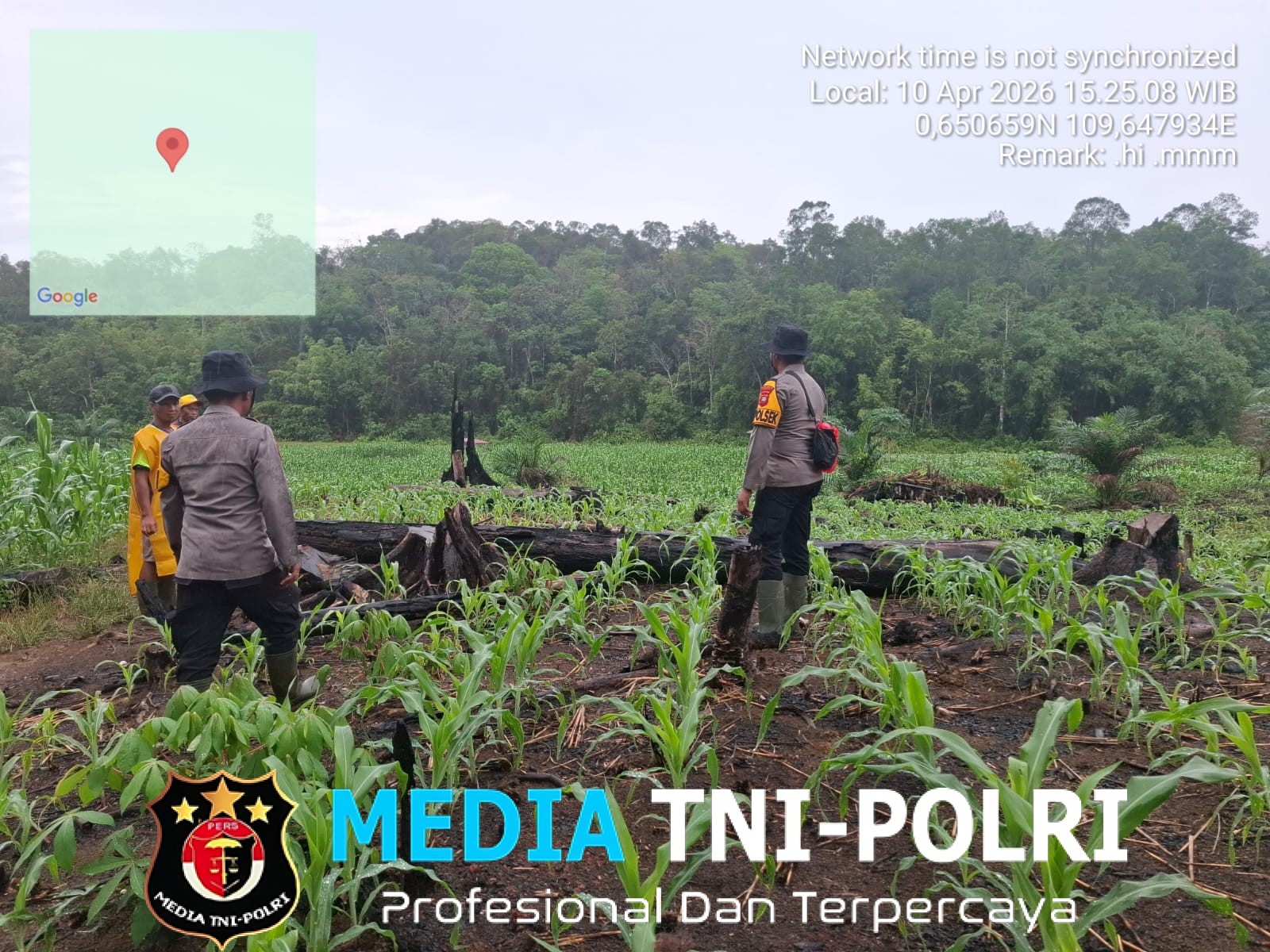 Kapolsek Menyuke Beserta Anggota Rutin Lakukan Pengecekan Kondisi Tanaman Jagung