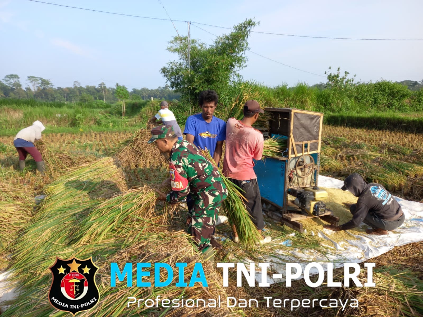 Kebersamaan TNI Dan Petani, Panen Padi Di Desa Gledug Berjalan Lancar