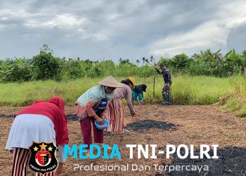 Bentuk Upaya Ketahanan Pangan, Satgas Yonif 643/Wns Tanam Jagung
