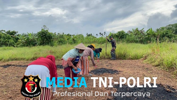 Bentuk Upaya Ketahanan Pangan, Satgas Yonif 643/Wns Tanam Jagung