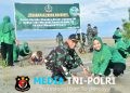 Peduli Kelestarian Lingkungan, Persit Kodim Merauke Tanam Ratusan Mangrove di Pantai Payum