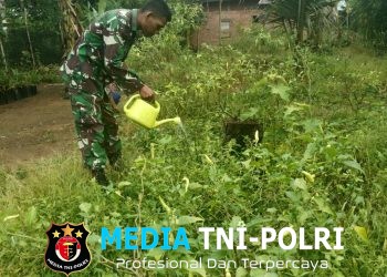 Babinsa Bantu Petani Bersihkan Dan Lakukan Perawatan Lahan Pertanian