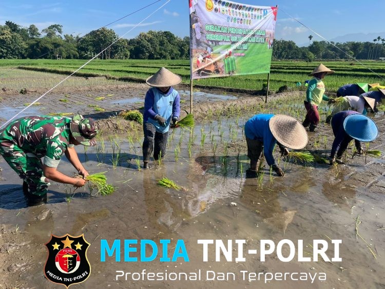Ikuti Tanam Padi Serentak Se-Jatim, Babinsa Butun Bersama Forkopimda Perkuat Swasembada Pangan