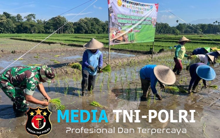 Ikuti Tanam Padi Serentak Se-Jatim, Babinsa Butun Bersama Forkopimda Perkuat Swasembada Pangan
