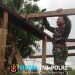 Anggota Satgas TMMD ke 128 Kodim 0420/Sarko Mulai Garap RTLH Bapak Lukman