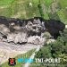 Kasatgass PRR Apresiasi Kesigapan Tim Penanganan Sinkhole di Aceh Tengah