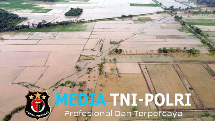 Ribuan Hektare Sawah Dipulihkan, Jamin Ketahanan Pangan Wilayah Terdampak