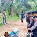 Polisi Bongkar Gubuk Diduga Lokasi Pesta Sabu di Gunung Sugih, Pelaku Masih Diburu