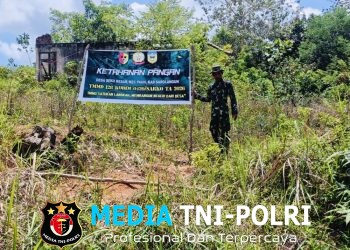 Satgas TMMD ke 128 Kodim 0420/Sarko Siapkan Lahan Ketahanan Pangan Bagi Warga Desa Seko Besar