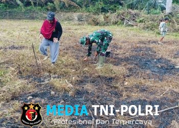 Tanpa Kenal Lelah, Satgas TMMD Ke-128 Kodim 0420/Sarko Bersama Warga Buka Lahan Pertanian di Desa Seko Besar