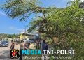 Respon Laporan 110, Polres Lampung Utara Gerak Cepat Tangani Pohon Rawan Tumbang di Depan Pasar Candimas