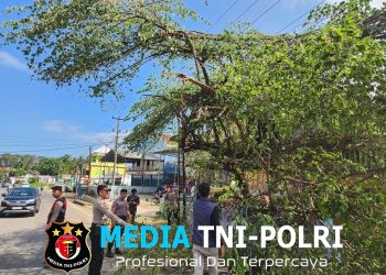 Respon Laporan 110, Polres Lampung Utara Gerak Cepat Tangani Pohon Rawan Tumbang di Depan Pasar Candimas