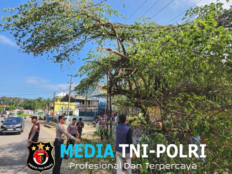 Respon Laporan 110, Polres Lampung Utara Gerak Cepat Tangani Pohon Rawan Tumbang di Depan Pasar Candimas