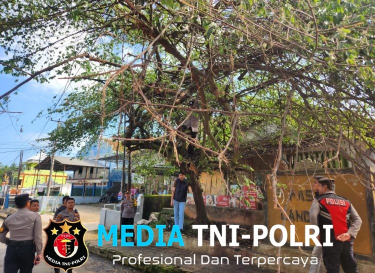 Respon Laporan 110, Polres Lampung Utara Gerak Cepat Tangani Pohon Rawan Tumbang di Depan Pasar Candimas