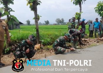 Perangkat Desa Terjun Lokasi