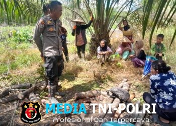 Di Bawah Rindang Sawit, Polisi Humanis Bina KWT Kembang Desa Tanam Jagung dan Sayuran