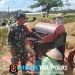 Wujudkan Ketahanan Pangan Nasional, Babinsa Ngadirenggo Dampingi Petani Panen Padi