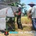 Wujud Nyata, Babinsa Sananwetan Bantu Panen Padi Dukung Ketahanan Pangan Nasional