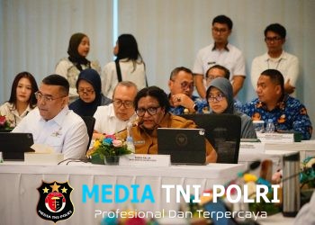 Ribka Haluk Keselarasan Kebijakan Pusat-Daerah Kunci Sukses PSN Pantura Jawa