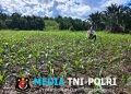 Pantau Jagung Mandiri di Meranti, Polisi Beri Dukungan Penuh untuk Ketahanan Pangan