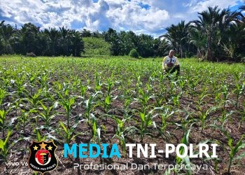 Pantau Jagung Mandiri di Meranti, Polisi Beri Dukungan Penuh untuk Ketahanan Pangan