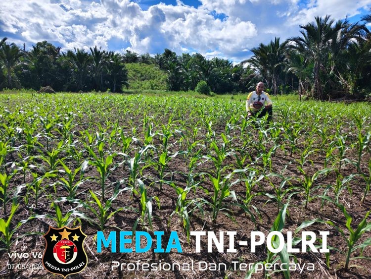 Pantau Jagung Mandiri di Meranti, Polisi Beri Dukungan Penuh untuk Ketahanan Pangan