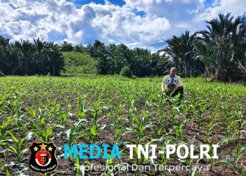 Pantau Jagung Mandiri di Meranti, Polisi Beri Dukungan Penuh untuk Ketahanan Pangan