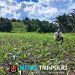 Pantau Jagung Mandiri di Meranti, Polisi Beri Dukungan Penuh untuk Ketahanan Pangan