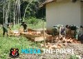 Kejar Target Sanitasi Sehat: Satgas TMMD Ke-128 Kodim 0402/OKI Kebut Pondasi MCK di Desa Pematang Sukatani
