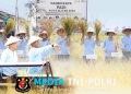 Sinergi Muspida Kota Blitar dalam Panen Raya, Wujudkan Kemandirian Pangan Daerah