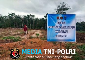 TNI Bersama Rakyat, TMMD Ke-128 Sulap Lahan 1,5 Hektar Jadi Kebun Jagung Produktif