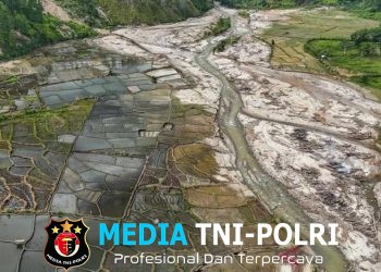 Ribuan Hektare Sawah Terdampak Bencana Mulai Ditanami Kembali