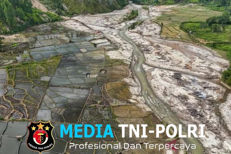 Ribuan Hektare Sawah Terdampak Bencana Mulai Ditanami Kembali