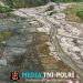 Ribuan Hektare Sawah Terdampak Bencana Mulai Ditanami Kembali