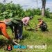 Kepedulian Lingkungan, Babinsa Kedung Banteng Ajak Warga Lestarikan Alam