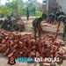 Wujudkan Kemanunggalan, Satgas TMMD Kodim 0402/OKI dan Warga Gotong Royong Bangun Fasilitas MCK
