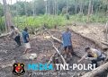 Kapolsek Sebangki Bersama Petani Tanam Jagung, Wujud Nyata Polisi Peduli Rakyat