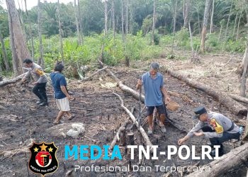Kapolsek Sebangki Bersama Petani Tanam Jagung, Wujud Nyata Polisi Peduli Rakyat