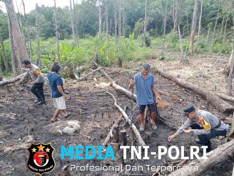 Kapolsek Sebangki Bersama Petani Tanam Jagung, Wujud Nyata Polisi Peduli Rakyat