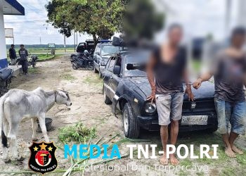 Masyarakat Hubungi 110, Polsek Dolok Batu Nanggar dan Unit Jatanras Polres Simalungun Sigap Bekuk Dua Pencuri Anak Lembu yang Kabur Pakai Mobil Sedan