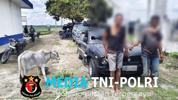 Masyarakat Hubungi 110, Polsek Dolok Batu Nanggar dan Unit Jatanras Polres Simalungun Sigap Bekuk Dua Pencuri Anak Lembu yang Kabur Pakai Mobil Sedan