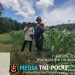 Polsek Meranti Turun Langsung ke Lahan Jagung, Pastikan Program Mandiri Tumbuh Subur dan Menjanjikan!