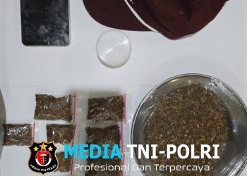 Polda Jateng Ungkap Peredaran Tembakau Sintetis di Bawen, Pengedar Diamankan dengan Barang Bukti 100 Gram