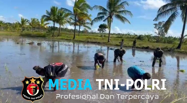 Dansatgas Yonif 123/Rajawali Dorong Ketahanan Pangan, Pos Kimaam Tanam Padi Bersama Warga Distrik Kimaam