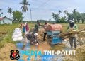 Wujudkan Ketahanan Pangan, Babinsa Turun Sawah Bantu Petani Panen Padi