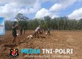 Satgas TMMD Kodim 0402/OKI Tanam Jagung 1,5 Hektar Demi Perkuat Ketahanan Pangan Desa