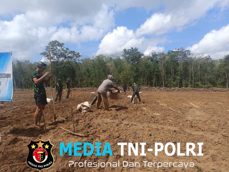 Satgas TMMD Kodim 0402/OKI Tanam Jagung 1,5 Hektar Demi Perkuat Ketahanan Pangan Desa