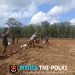 Satgas TMMD Kodim 0402/OKI Tanam Jagung 1,5 Hektar Demi Perkuat Ketahanan Pangan Desa