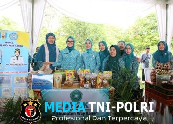 Staf Ahli TP PKK Yane Ardian Minta Pemda Perkuat UP2K dan Berdayakan Lansia