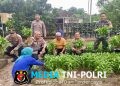 Dit Binmas Polda Lampung Asistensi Program Pekarangan Bergizi di Terbanggi Besar